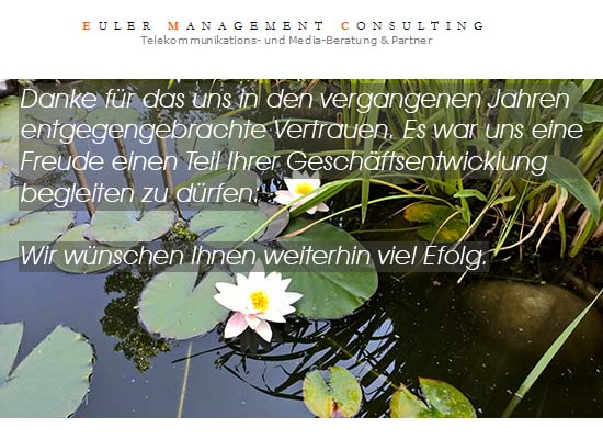 Euler Management Consult